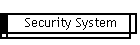 Security System